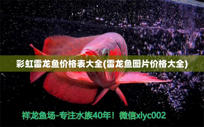 彩虹雷龍魚價(jià)格表大全(雷龍魚圖片價(jià)格大全) 硝化細(xì)菌