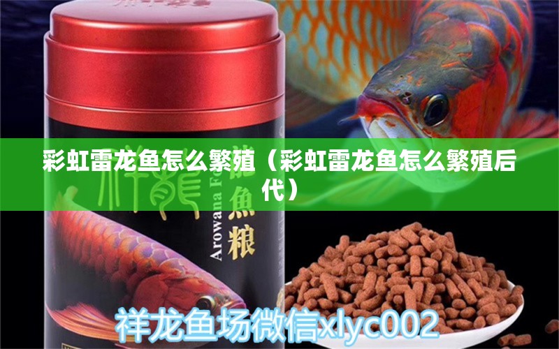 彩虹雷龍魚(yú)怎么繁殖（彩虹雷龍魚(yú)怎么繁殖后代）