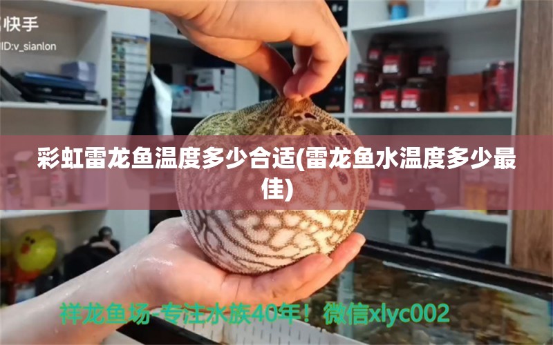 彩虹雷龍魚溫度多少合適(雷龍魚水溫度多少最佳) 白化巴西龜（白巴）