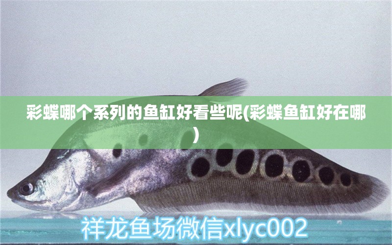 彩蝶哪個系列的魚缸好看些呢(彩蝶魚缸好在哪) 水族維護(hù)服務(wù)（上門） 第1張