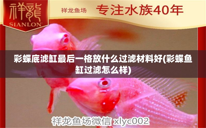 彩蝶底濾缸最后一格放什么過濾材料好(彩蝶魚缸過濾怎么樣) 網上購買觀賞魚