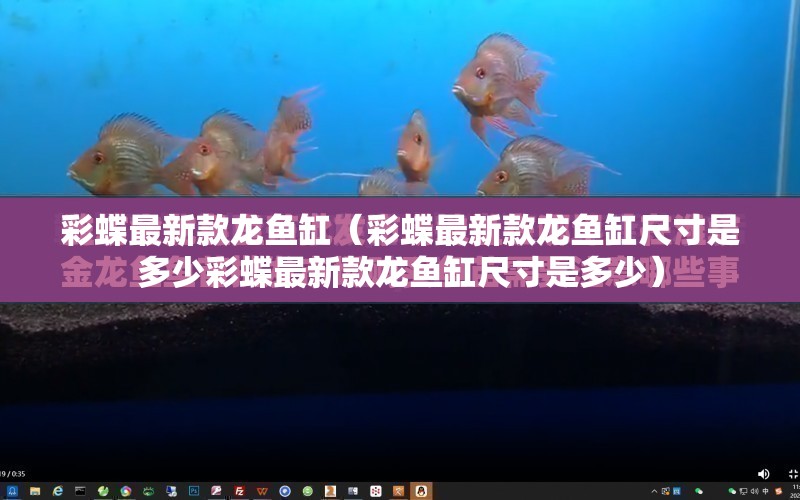 彩蝶最新款龍魚缸（彩蝶最新款龍魚缸尺寸是多少彩蝶最新款龍魚缸尺寸是多少） 水族問答 第1張