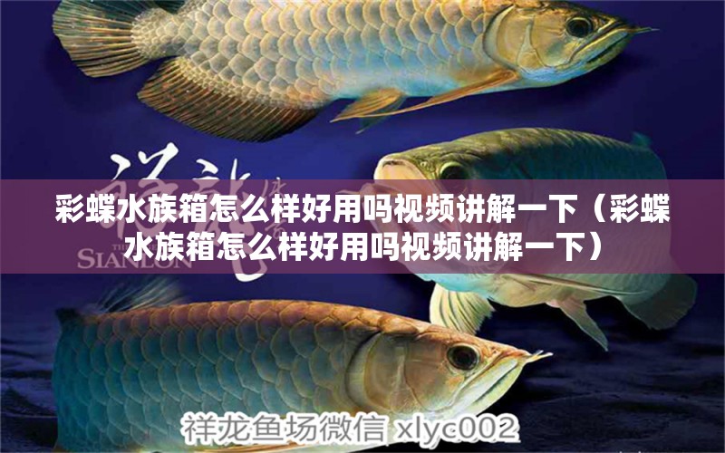 彩蝶水族箱怎么樣好用嗎視頻講解一下（彩蝶水族箱怎么樣好用嗎視頻講解一下）