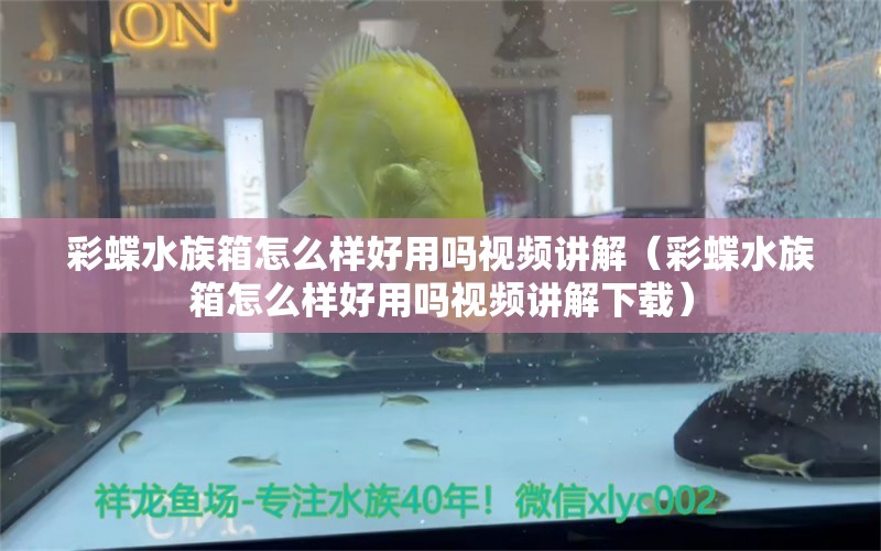 彩蝶水族箱怎么樣好用嗎視頻講解（彩蝶水族箱怎么樣好用嗎視頻講解下載）