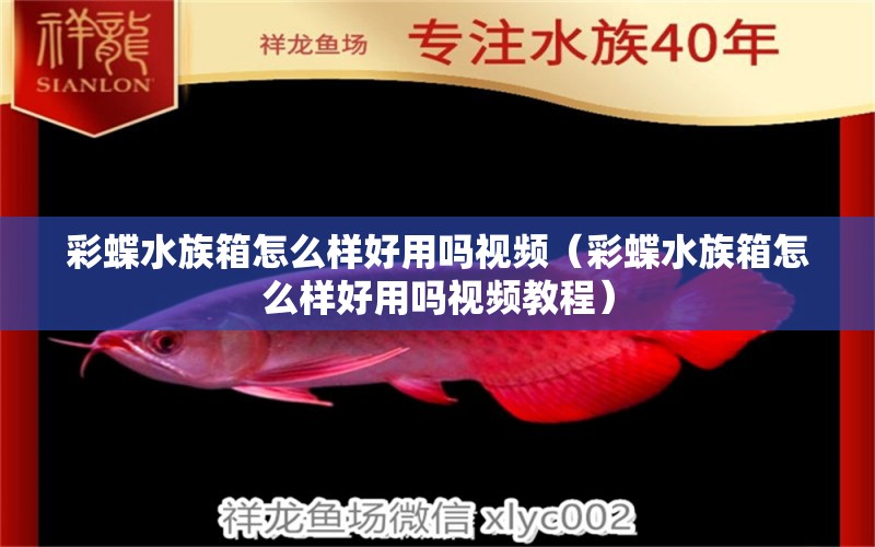 彩蝶水族箱怎么樣好用嗎視頻（彩蝶水族箱怎么樣好用嗎視頻教程）