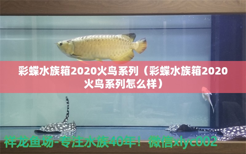 彩蝶水族箱2020火鳥(niǎo)系列（彩蝶水族箱2020火鳥(niǎo)系列怎么樣）