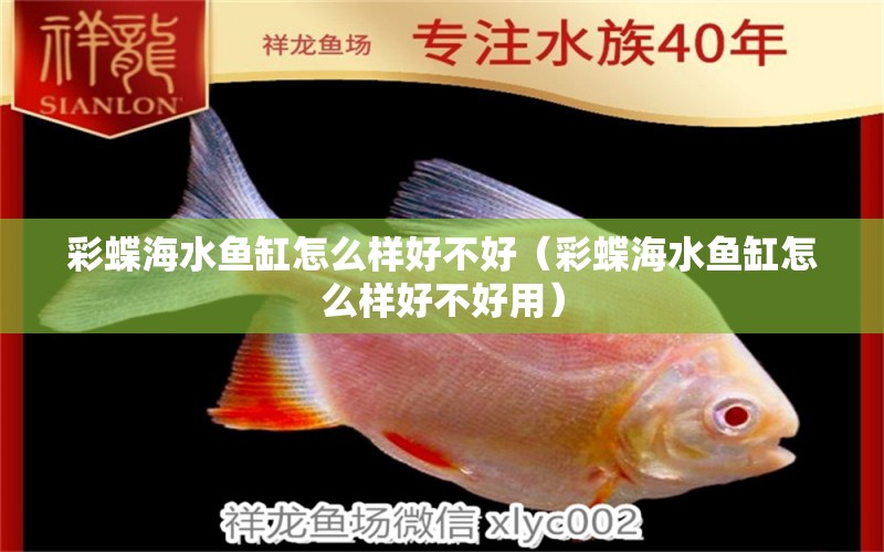 彩蝶海水魚缸怎么樣好不好（彩蝶海水魚缸怎么樣好不好用）