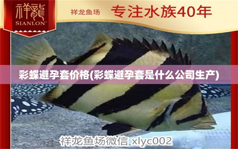 彩蝶避孕套價(jià)格(彩蝶避孕套是什么公司生產(chǎn)) 白寫錦鯉魚 第1張