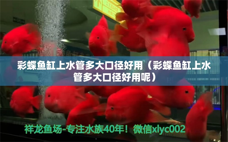 彩蝶魚缸上水管多大口徑好用（彩蝶魚缸上水管多大口徑好用呢）