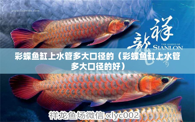 彩蝶魚(yú)缸上水管多大口徑的（彩蝶魚(yú)缸上水管多大口徑的好）