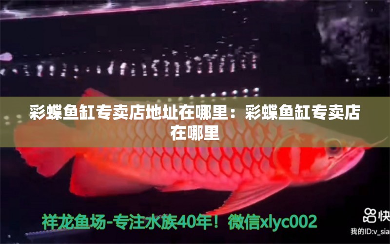 彩蝶魚缸專賣店地址在哪里：彩蝶魚缸專賣店在哪里 彩鰈魚缸（彩蝶魚缸） 第2張