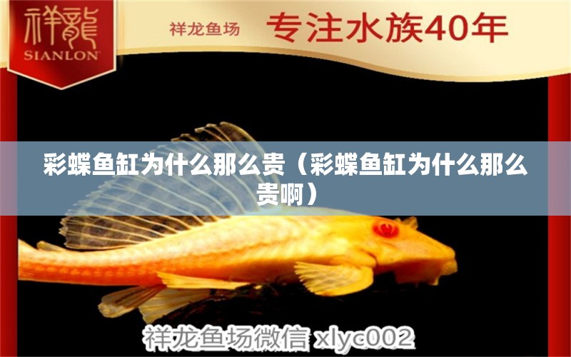 彩蝶魚缸為什么那么貴（彩蝶魚缸為什么那么貴?。? title=