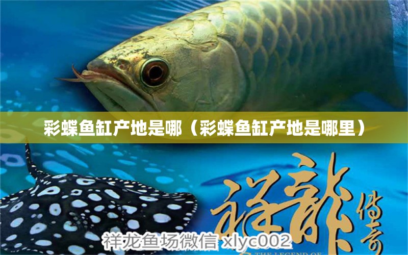 彩蝶魚缸產(chǎn)地是哪（彩蝶魚缸產(chǎn)地是哪里） 祥龍魚場