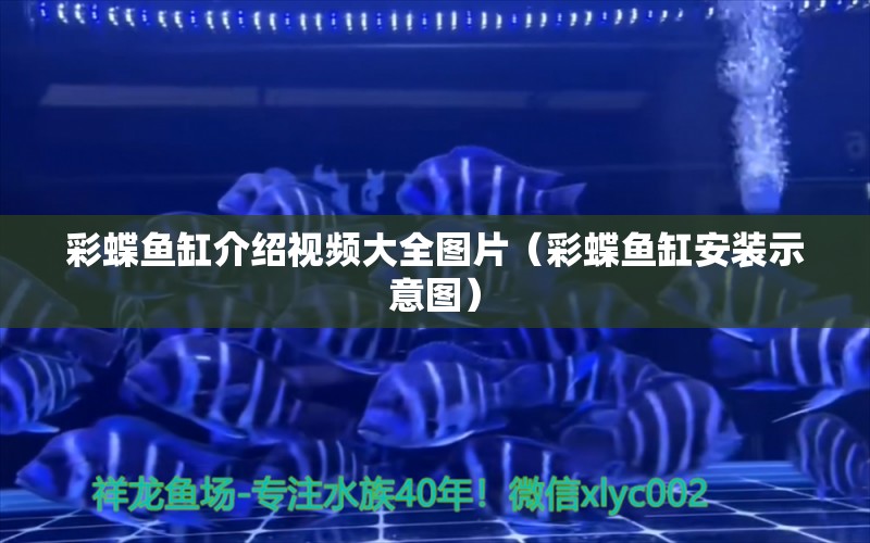 彩蝶魚缸介紹視頻大全圖片（彩蝶魚缸安裝示意圖）