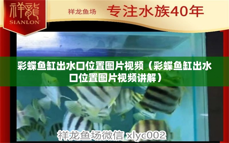 彩蝶魚(yú)缸出水口位置圖片視頻（彩蝶魚(yú)缸出水口位置圖片視頻講解）