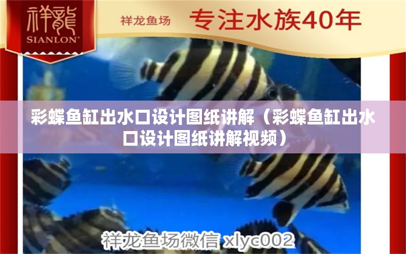 彩蝶魚缸出水口設計圖紙講解（彩蝶魚缸出水口設計圖紙講解視頻）