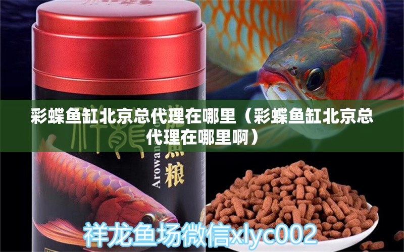 彩蝶魚(yú)缸北京總代理在哪里（彩蝶魚(yú)缸北京總代理在哪里?。? title=