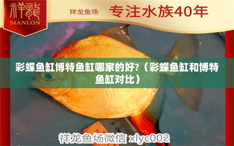 彩蝶魚缸博特魚缸哪家的好?（彩蝶魚缸和博特魚缸對比）