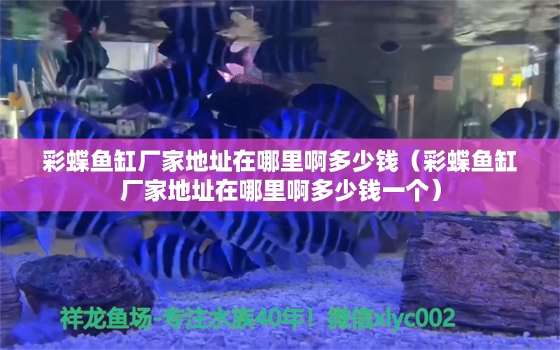 彩蝶魚缸廠家地址在哪里啊多少錢（彩蝶魚缸廠家地址在哪里啊多少錢一個(gè)）