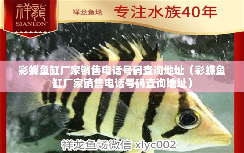 彩蝶魚缸廠家銷售電話號碼查詢地址（彩蝶魚缸廠家銷售電話號碼查詢地址）