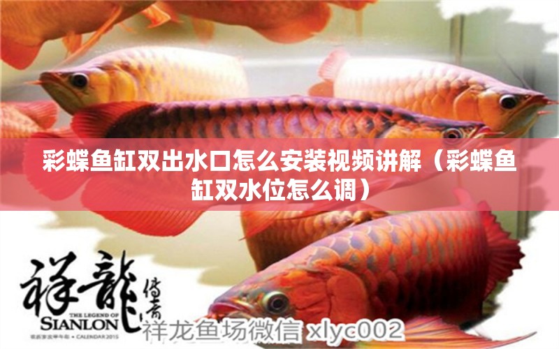 彩蝶魚缸雙出水口怎么安裝視頻講解（彩蝶魚缸雙水位怎么調(diào)）