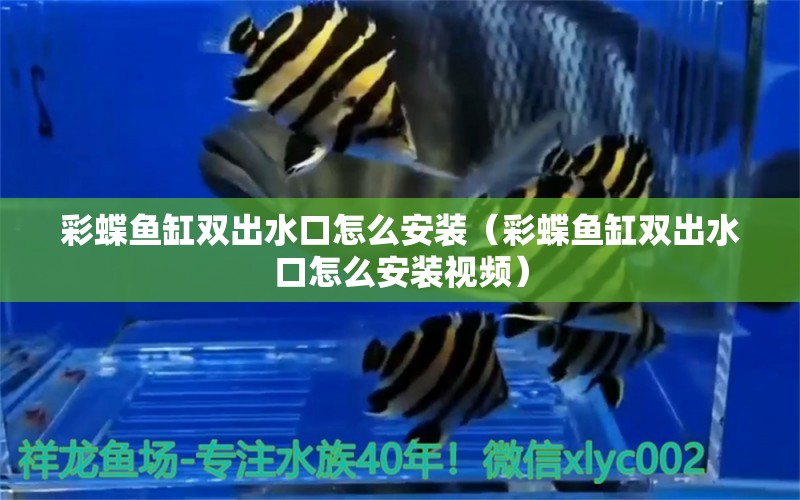 彩蝶魚缸雙出水口怎么安裝（彩蝶魚缸雙出水口怎么安裝視頻）