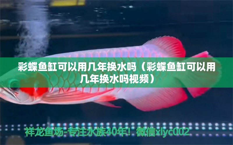 彩蝶魚缸可以用幾年換水嗎（彩蝶魚缸可以用幾年換水嗎視頻）