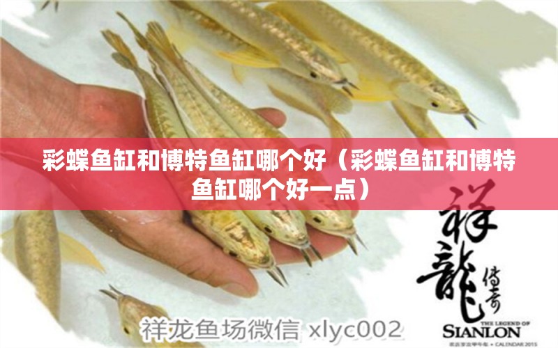 彩蝶魚缸和博特魚缸哪個好（彩蝶魚缸和博特魚缸哪個好一點）