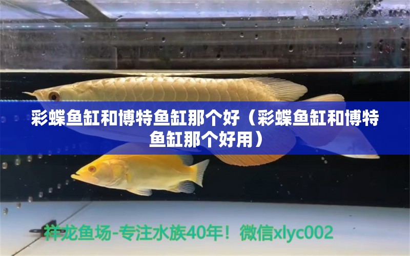 彩蝶魚缸和博特魚缸那個好（彩蝶魚缸和博特魚缸那個好用）