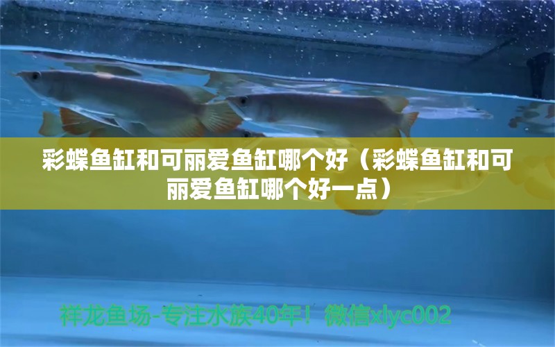 彩蝶魚缸和可麗愛魚缸哪個(gè)好（彩蝶魚缸和可麗愛魚缸哪個(gè)好一點(diǎn)）