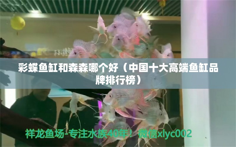 彩蝶魚缸和森森哪個好（中國十大高端魚缸品牌排行榜）