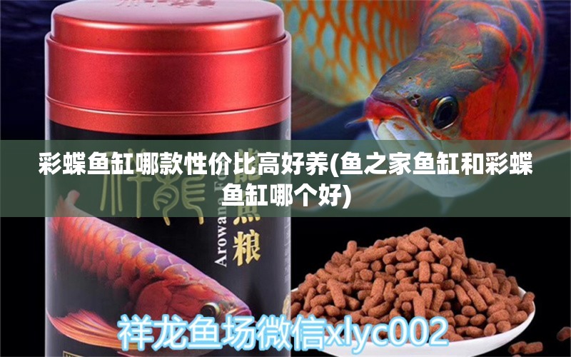 彩蝶魚缸哪款性價比高好養(yǎng)(魚之家魚缸和彩蝶魚缸哪個好) 銀龍魚百科 第1張