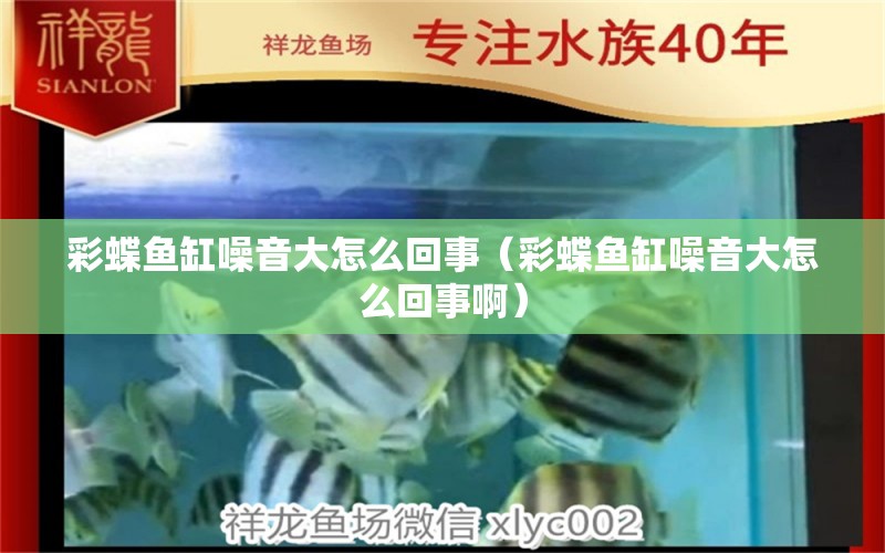 彩蝶魚缸噪音大怎么回事（彩蝶魚缸噪音大怎么回事?。? title=