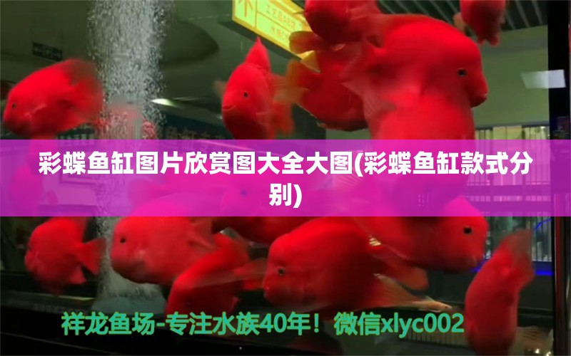 彩蝶魚(yú)缸圖片欣賞圖大全大圖(彩蝶魚(yú)缸款式分別) 雪龍魚(yú)