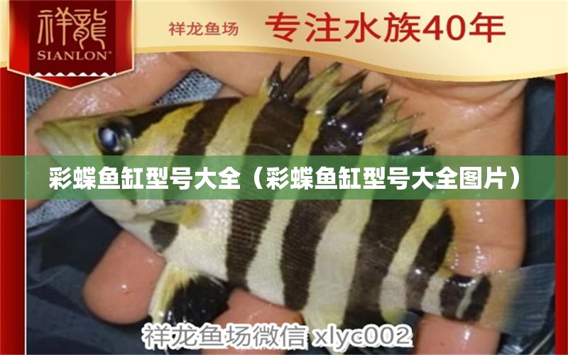 彩蝶魚缸型號大全（彩蝶魚缸型號大全圖片）