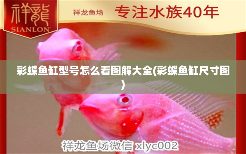 彩蝶魚缸型號怎么看圖解大全(彩蝶魚缸尺寸圖) 白子銀龍魚苗