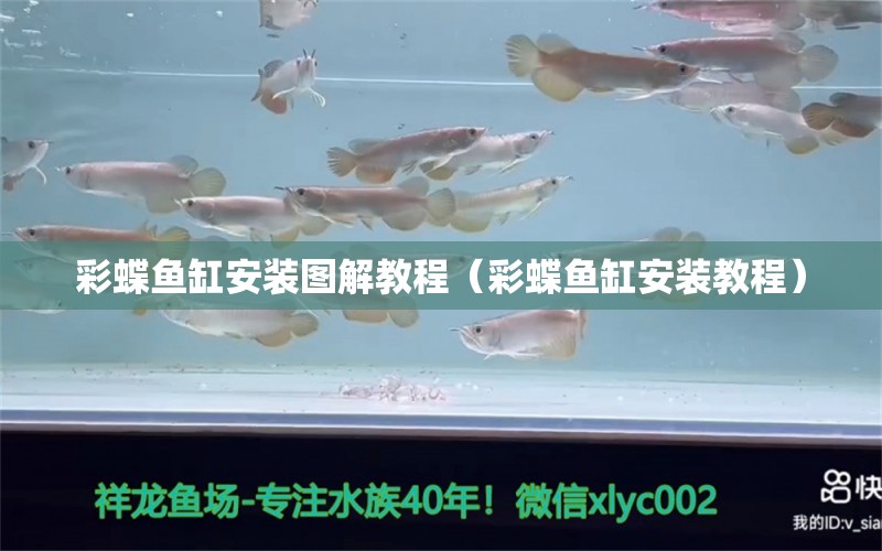 彩蝶魚缸安裝圖解教程（彩蝶魚缸安裝教程） 魚缸百科 第2張