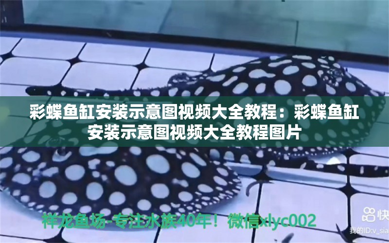 彩蝶魚缸安裝示意圖視頻大全教程：彩蝶魚缸安裝示意圖視頻大全教程圖片