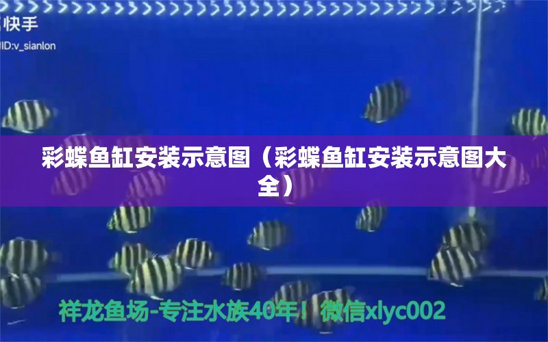 彩蝶魚缸安裝示意圖（彩蝶魚缸安裝示意圖大全）