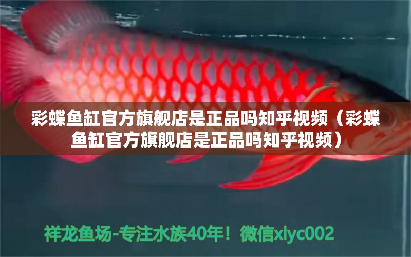 彩蝶魚缸官方旗艦店是正品嗎知乎視頻（彩蝶魚缸官方旗艦店是正品嗎知乎視頻）