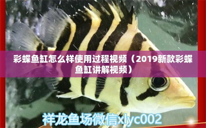 彩蝶魚缸怎么樣使用過程視頻（2019新款彩蝶魚缸講解視頻） 觀賞魚市場