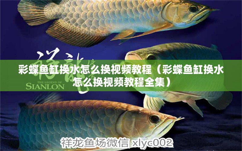 彩蝶魚缸換水怎么換視頻教程（彩蝶魚缸換水怎么換視頻教程全集）