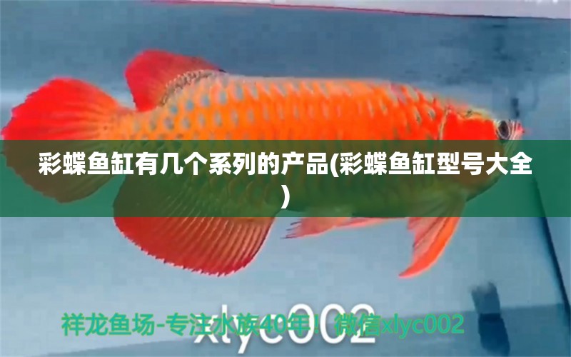 彩蝶魚(yú)缸有幾個(gè)系列的產(chǎn)品(彩蝶魚(yú)缸型號(hào)大全)