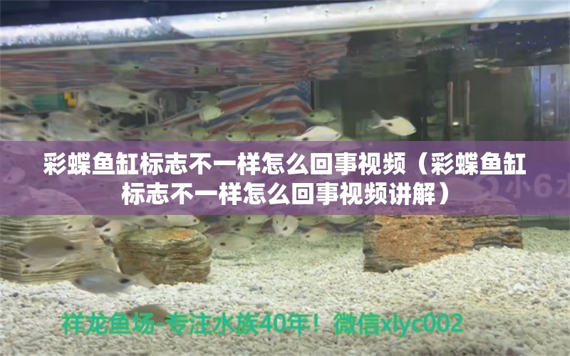 彩蝶魚缸標(biāo)志不一樣怎么回事視頻（彩蝶魚缸標(biāo)志不一樣怎么回事視頻講解）