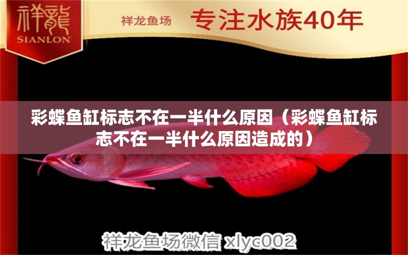 彩蝶魚缸標(biāo)志不在一半什么原因（彩蝶魚缸標(biāo)志不在一半什么原因造成的） 黃鰭鯧魚