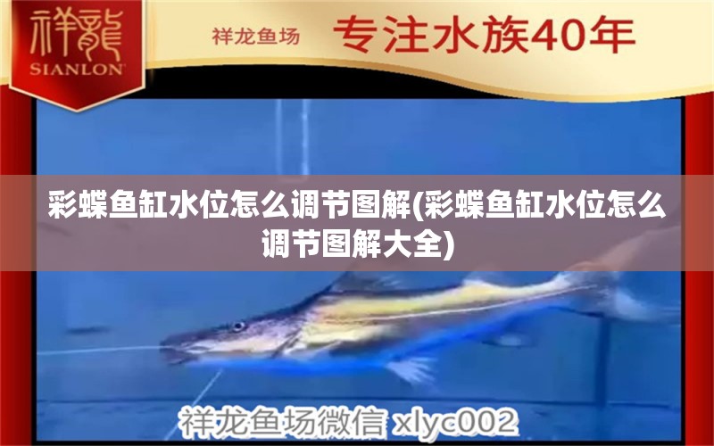 彩蝶魚缸水位怎么調(diào)節(jié)圖解(彩蝶魚缸水位怎么調(diào)節(jié)圖解大全)