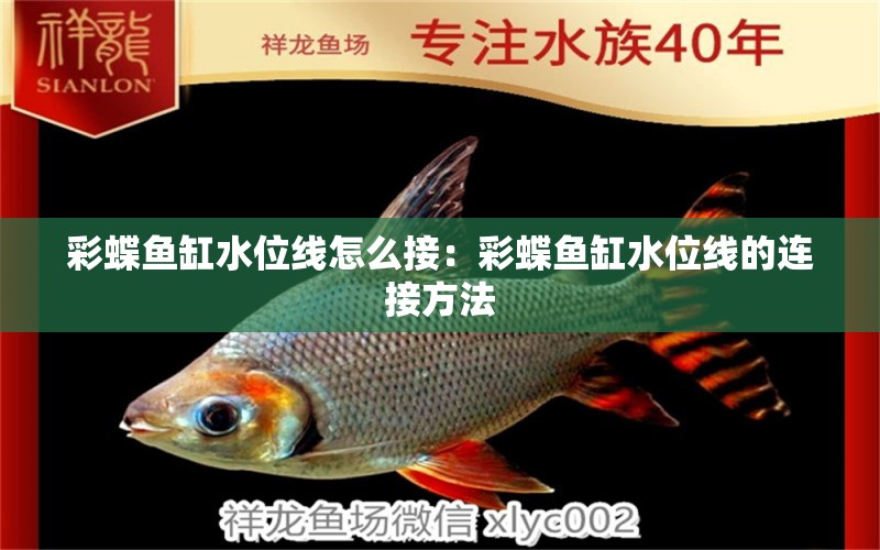 彩蝶魚缸水位線怎么接：彩蝶魚缸水位線的連接方法 彩鰈魚缸（彩蝶魚缸） 第2張