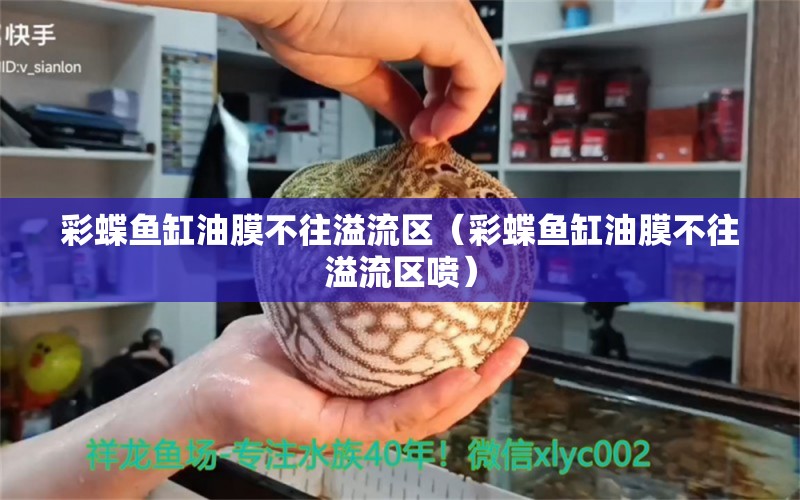 彩蝶魚(yú)缸油膜不往溢流區(qū)（彩蝶魚(yú)缸油膜不往溢流區(qū)噴） 觀賞魚(yú)市場(chǎng)