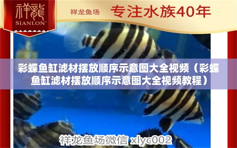 彩蝶魚缸濾材擺放順序示意圖大全視頻（彩蝶魚缸濾材擺放順序示意圖大全視頻教程）