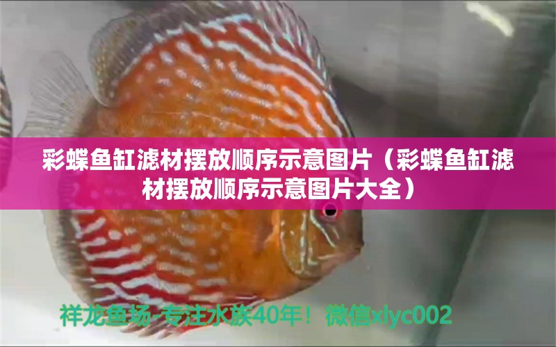 彩蝶魚缸濾材擺放順序示意圖片（彩蝶魚缸濾材擺放順序示意圖片大全）